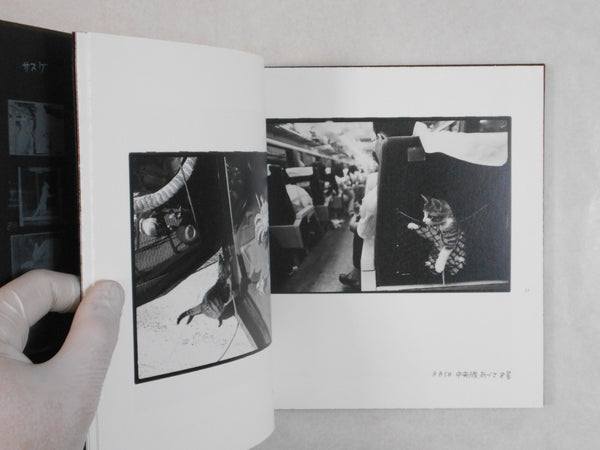 Afterword | Masahisa Fukase | Roshin Books, 2016