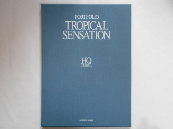 Tropical Sensation HQ Portfolio | Thawich Chun | Artman Club