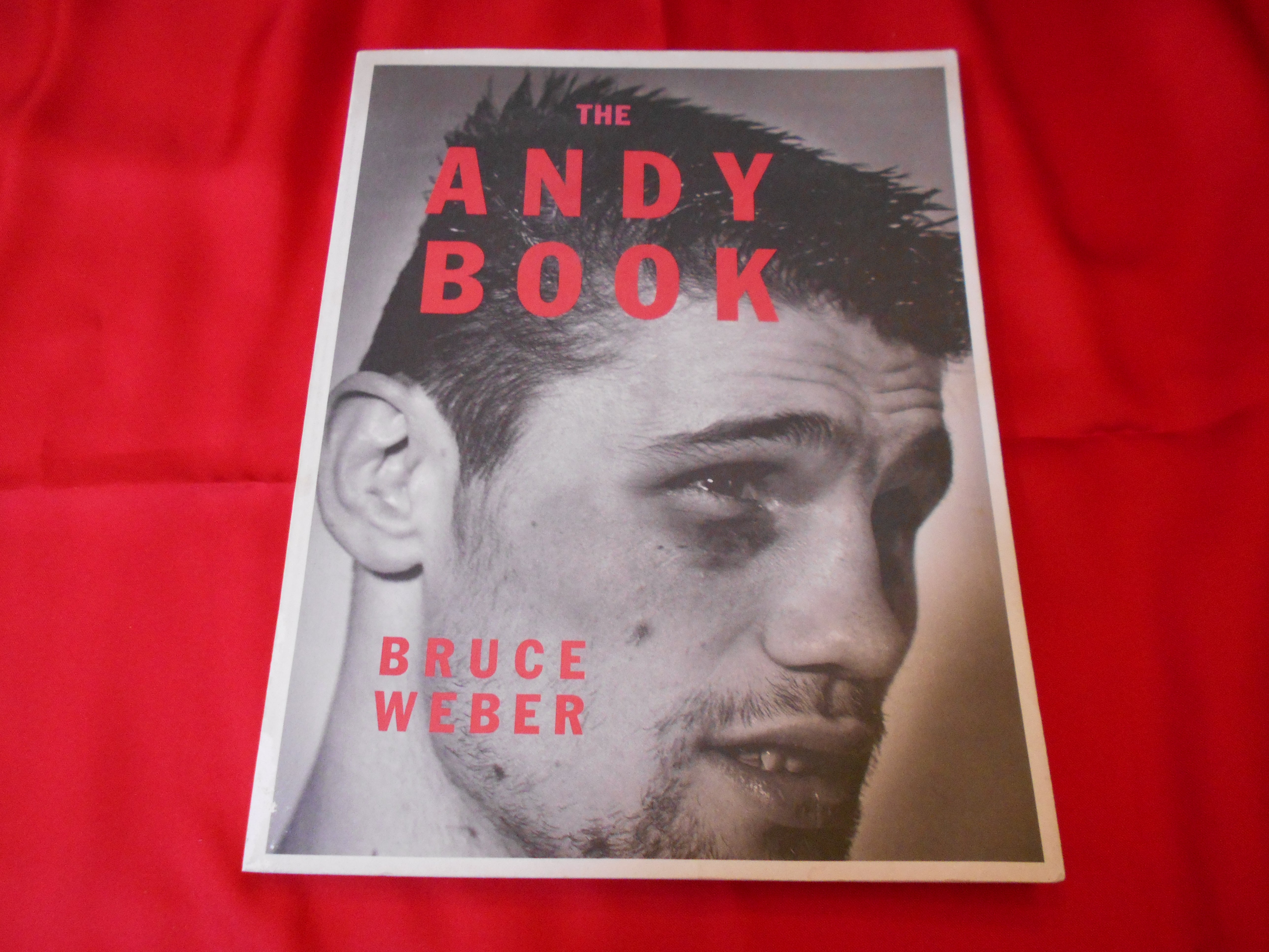 The Andy book | Bruce Weber | Doieisha 1987 – buonaideabooks